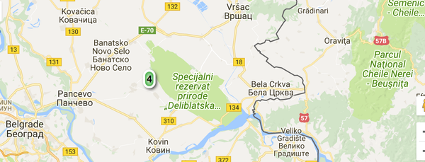 Cutremur în Serbia Cutremur în Serbia - Sputnik Moldova