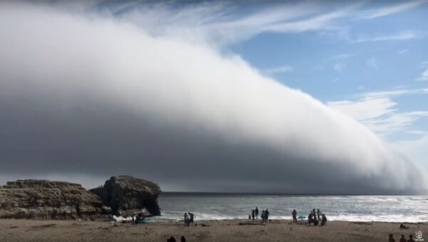 Огромное облако накрыло весь пляж в Санта Круз, США - Sputnik Молдова