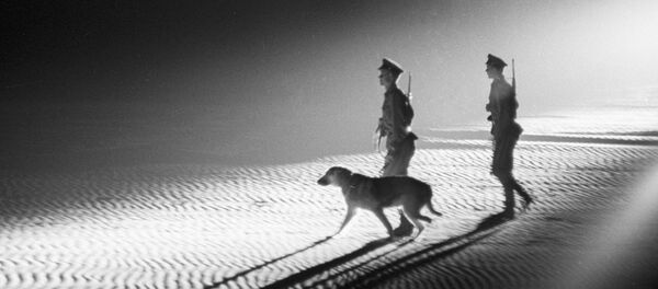 ПОГРАНИЧНИКИ СОБАКА ОХРАНА ГРАНИЦА - Sputnik Moldova