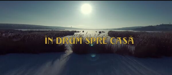 NICOLAE BOTGROS și Orchestra LĂUTARII din Chișinău - In drum spre casă - Sputnik Moldova