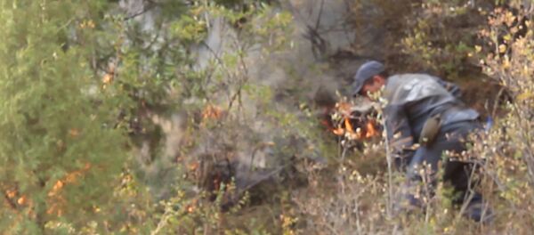 Тушение пожара в ущелье Чычкан — кадры с места событий Тушение пожара в ущелье Чычкан — кадры с места событий - Sputnik Молдова