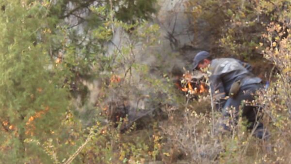 Тушение пожара в ущелье Чычкан — кадры с места событий - Sputnik Молдова