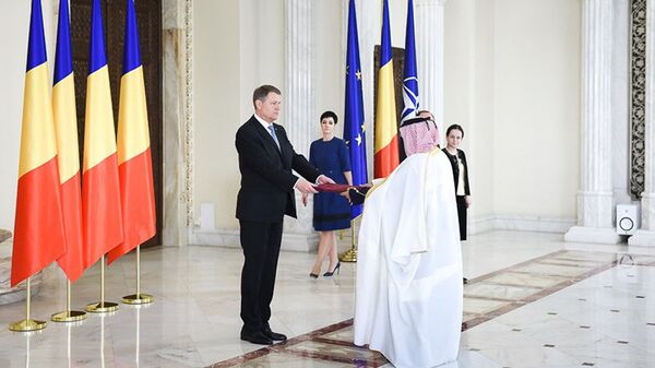 Klaus Iohannis și Delia Dinu (pe planul din spate, centru) Klaus Iohannis și Delia Dinu (pe planul din spate, centru) - Sputnik Moldova-România