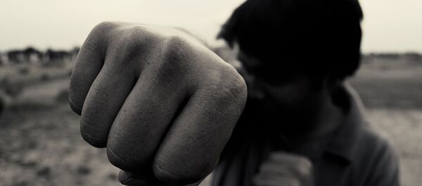 Кулак, фото из архива - Sputnik Moldova