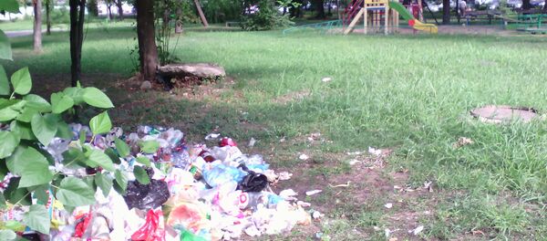 Morman de gunoi, stația de troleibuz Mitropolit Dosoftei - Sputnik Moldova