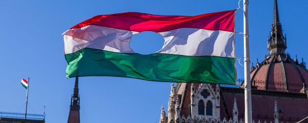 Флаг периода событий 1956 года на фоне Парламента Венгрии в Будапеште - Sputnik Молдова