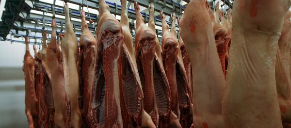 porc porc - Sputnik Moldova