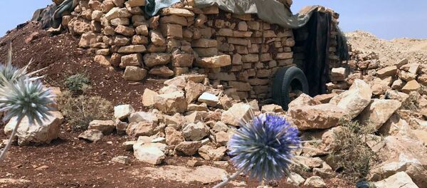 Место базирования террористов в горном районе Эрсаль на ливано-сирийской границе - Sputnik Moldova-România