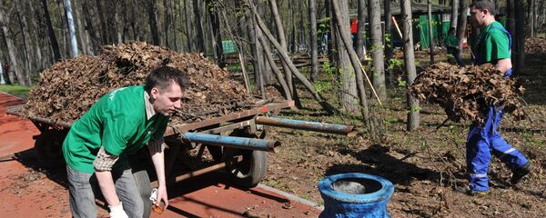 Salubrizarea unui parc - Sputnik Moldova