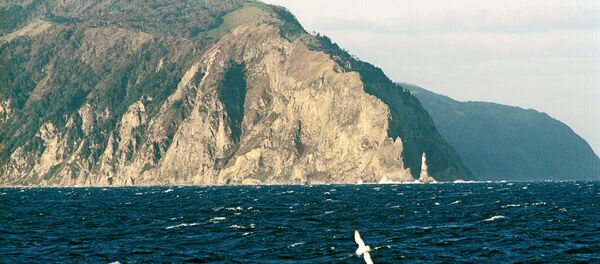 Мыс Анива на острове Сахалин - Sputnik Moldova-România