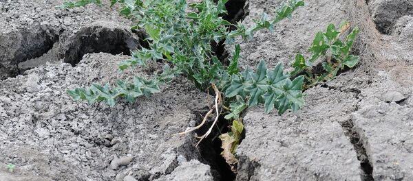 Засуха в Челябинской области - Sputnik Moldova