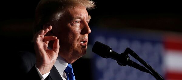 Президент Америки Дональд Трамп - Sputnik Молдова