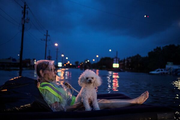 Пожилая женщина и ее пудель на надувном матрасе ждут помощи после урагана Харви, штат Техас, США - Sputnik Молдова