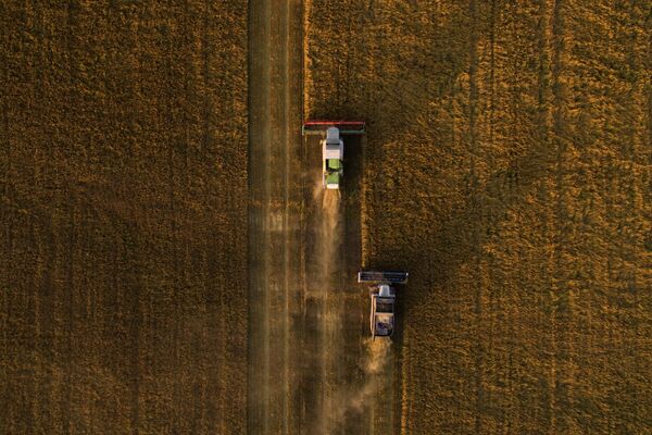Уборка урожая овса на полях АО Птицефабрика Евсинская в Искитимском районе Новосибирской области - Sputnik Молдова
