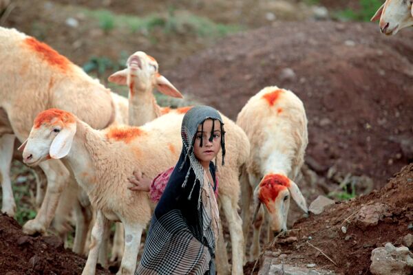 Девочка стоит рядом с овцами, которые продаются у дороги для праздника Курбан-байрам в Исламабаде, Пакистан - Sputnik Молдова