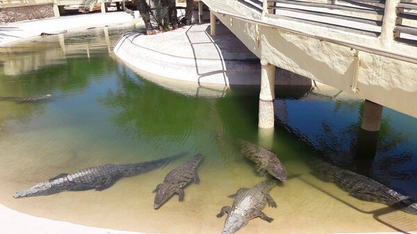 Тунис - Sputnik Молдова