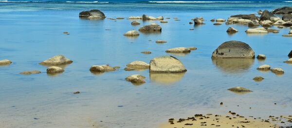 Лагуна во время отлива на острове. - Sputnik Moldova