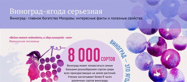 Виноград-ягода серьезная - Sputnik Молдова
