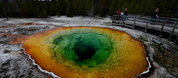 le parc national de Yellowstone aux États-Unis - Sputnik Moldova-România