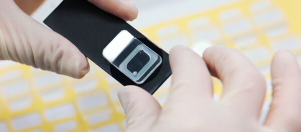 Упаковка микрочипов - Sputnik Молдова