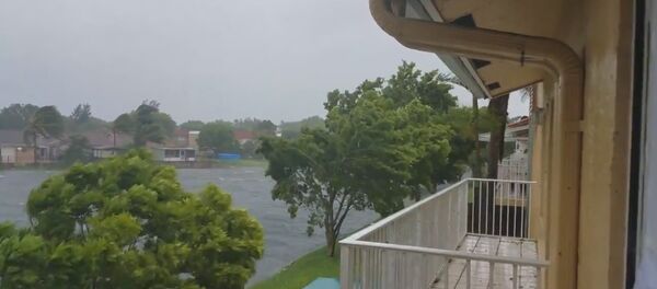 Ураган Ирма добрался до Флориды – первые кадры - Sputnik Молдова