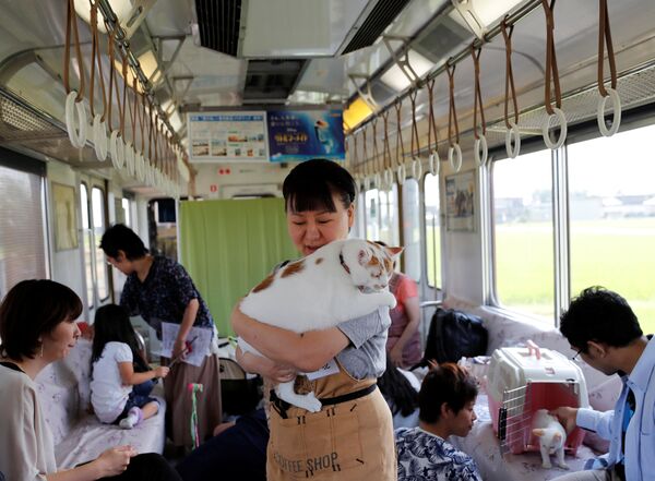 Один из организаторов кошачьего поезда-кафе, созданного для привлечения внимания к бездомным кошкам, в горде Огаки, Япония - Sputnik Молдова