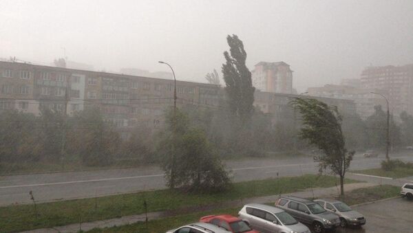 Деревья сгибаются под ударами бури. Архивное фото. - Sputnik Молдова