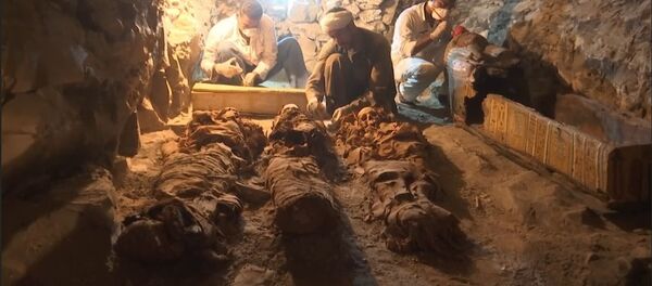 Гробница возрастом 3500 лет найдена в Египте - Sputnik Молдова