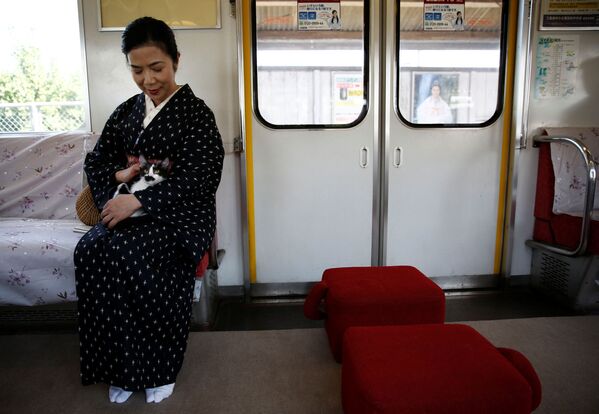 O femeie mângâie un motănaș în netradiționalul tren-cafenea, Ogaki, Japonia - Sputnik Moldova
