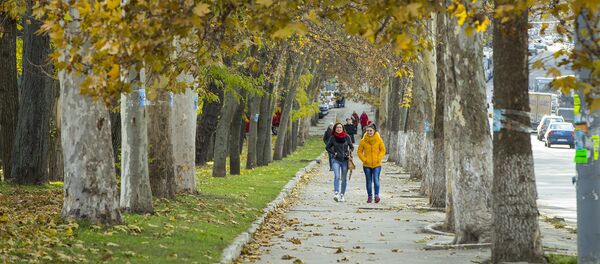 Осень - Sputnik Moldova-România