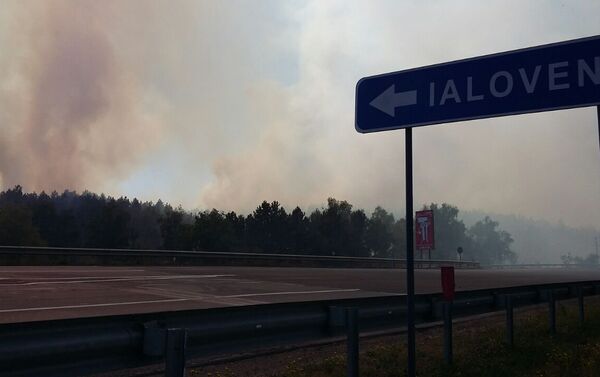Incendiu de vegetație în apropiere de Ialoveni - Sputnik Молдова