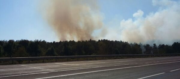 Incendiu de vegetație în apropiere de Ialoveni - Sputnik Moldova-România
