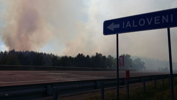 Incendiu de vegetație în apropiere de Ialoveni - Sputnik Moldova
