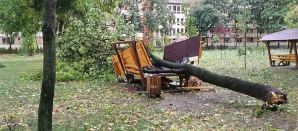 Furtuna Timisoara Furtuna Timisoara - Sputnik Молдова