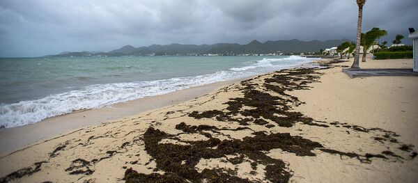 Ураган Ирма надвигается на пляж на острове Сен-Мартен в Карибском море. 5 сентября 2017 - Sputnik Moldova