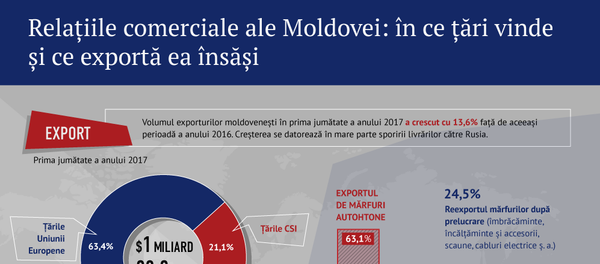 Relatiiile comerciale ale Moldovei - Sputnik Moldova-România