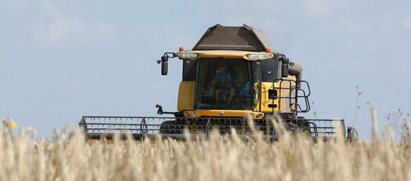 Уборка урожая в Курской области - Sputnik Молдова