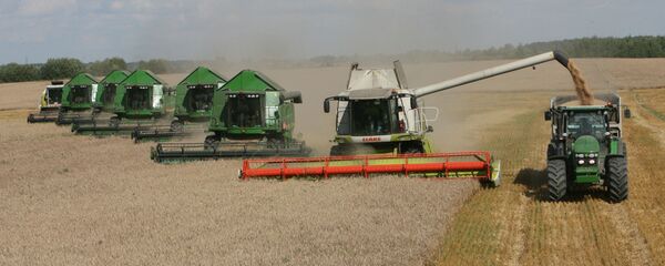 Уборка пшеницы на полях сельхозпредприятия Долгов и компания - Sputnik Moldova