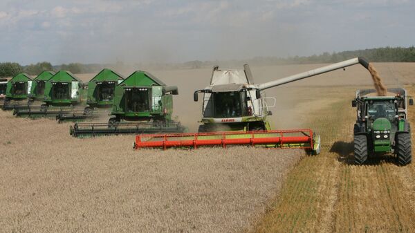 Уборка пшеницы на полях сельхозпредприятия Долгов и компания - Sputnik Moldova-România