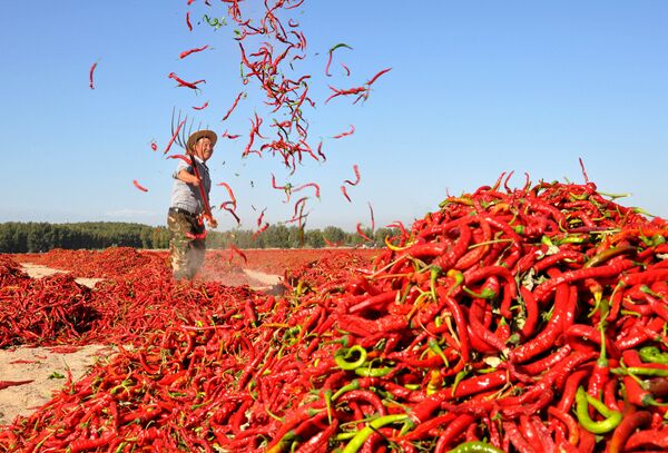 Сушка красных перцев чили в китайской деревне Чжанъе - Sputnik Молдова