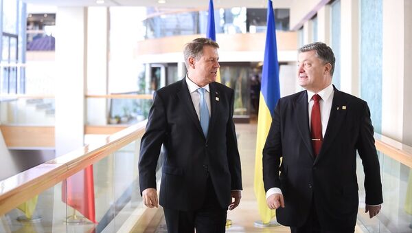 Întrevedere cu președintele Ucrainei domnul Petro Poroșenko - Sputnik Moldova-România