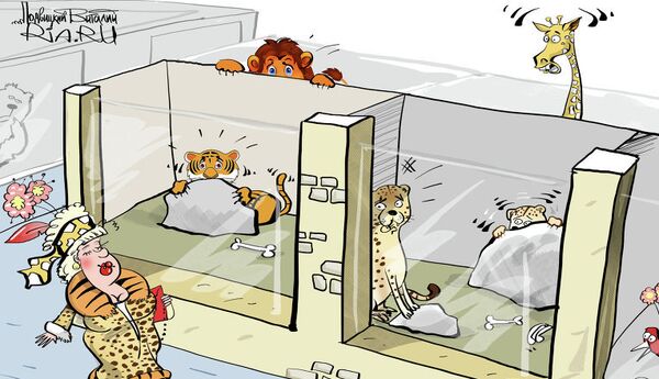 Кто на свете всех хищнее Кто на свете всех хищнее - Sputnik Молдова