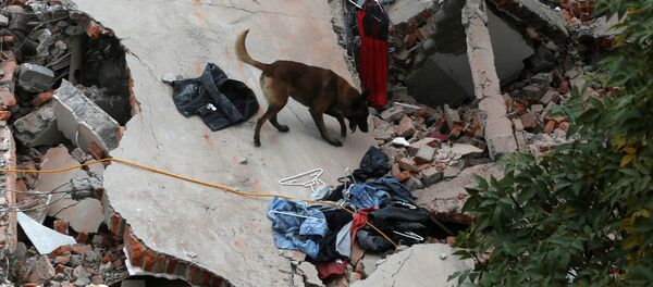 Последствия землетрясения в Мексике, 20 сентября 2017 - Sputnik Moldova