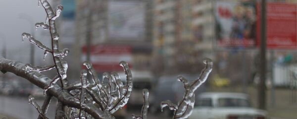 Înghețuri - Sputnik Moldova