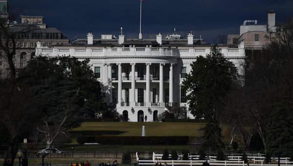 Вид на Белый дом в Вашингтоне - Sputnik Молдова