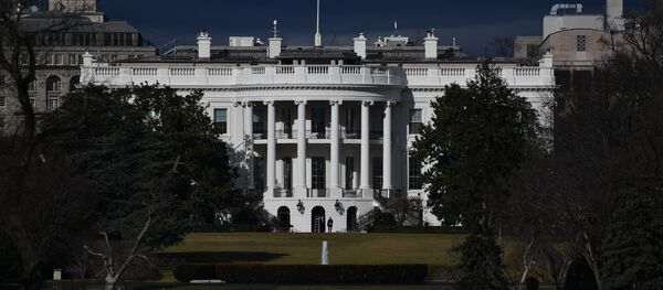 Вид на Белый дом в Вашингтоне - Sputnik Молдова