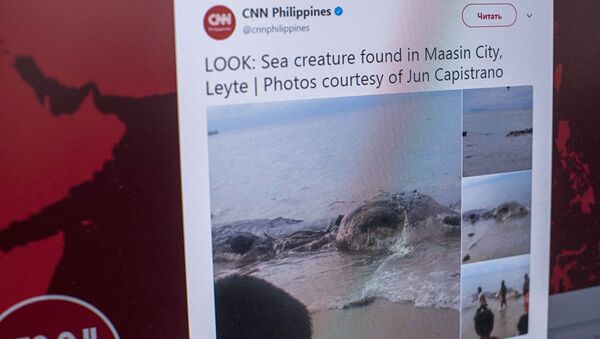 Десятиметровая туша морского животного найденная на берегу острова Лейт (Филиппины), фото со страницы Twitter CNN Philippines - Sputnik Молдова