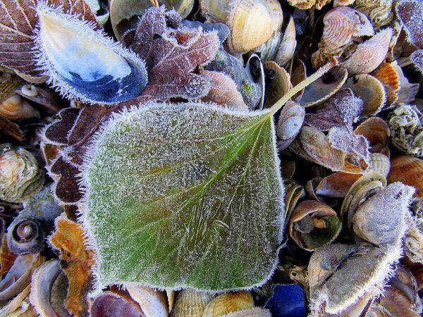 Снимок Frost on the beach фотографа Ali Lansley, вошедший в список финалистов конкурса Weather Photographer of the Year 2017 - Sputnik Молдова