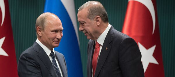 Визит президента РФ В. Путина в Турцию - Sputnik Молдова