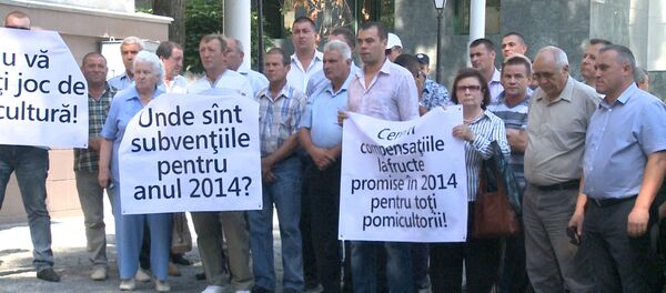 Fermierii protestează la Chişinău - Sputnik Moldova